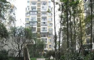 顺江锦苑 2室1厅 东 东南