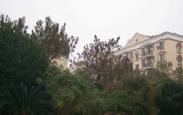 名景花园实景图