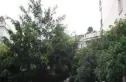 名景花园实景图
