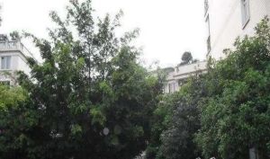 名景花园一期3室2厅北南