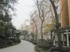 金阳丽景 3室2厅 南