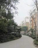金阳丽景 4室2厅 东南 南