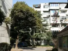 卫生间全明,大开间,小区入口附近,品质小区