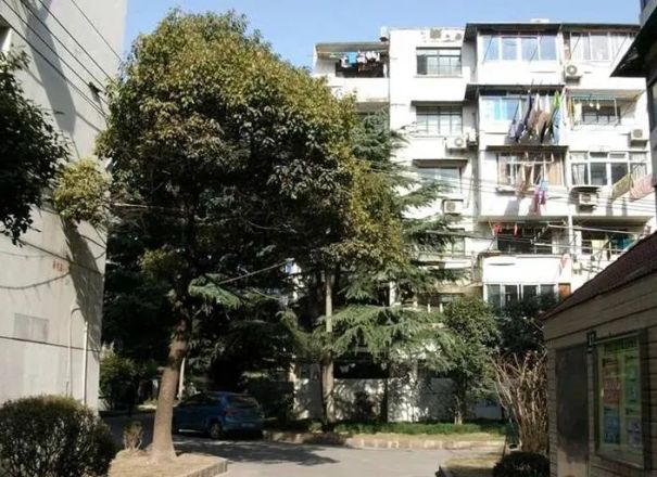 谈家桥路163弄小区实景图
