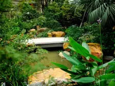 看河大平层 正对中山公园 开发商12000装标