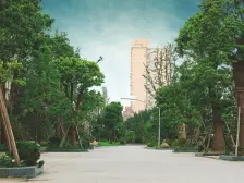 看河大平层 正对中山公园 开发商12000装标