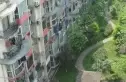 博士楼实景图