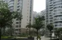 博士楼实景图