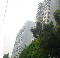 武新花园2室1厅南