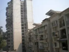 凤凰村 1室1厅 东南