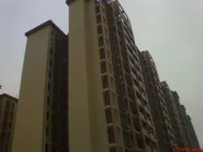 新都花园 1室1厅 南