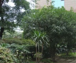 白家雅园3室2厅东南