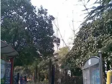 芷江西路453弄小区1室南朝向340.00万元/套出售