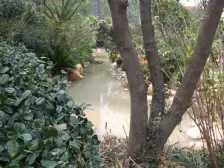 璞墅大别墅,实际使用超600平,大花园,邻水系,聚财福宅