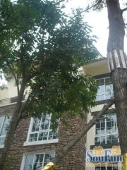 中城美山居3室2厅东南