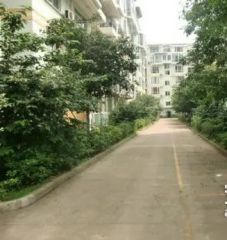 龙锦花苑1室1厅东南