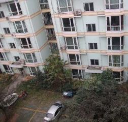 龙锦花苑2室1厅东东南