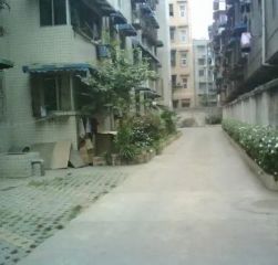 槐树店37号 2室1厅 东南