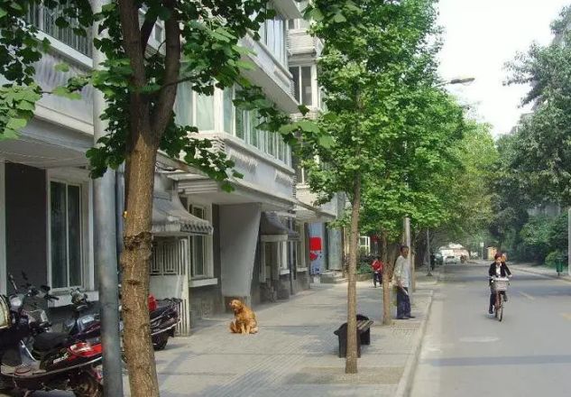 支矶石街15号实景图