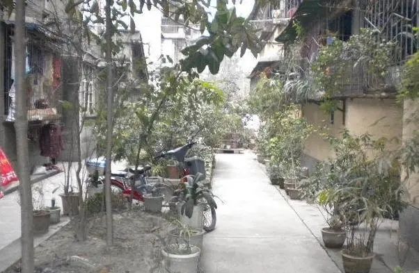 支矶石街15号实景图