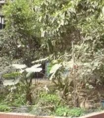 六九小区2室1厅南