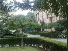 西郊·金浜路105弄·1室·1厅