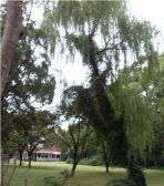 诚意出售,小区只有一套一房,看房方便,价格可以谈