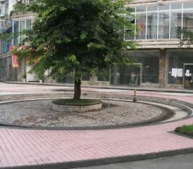 西延雅舍 2室1厅 东南