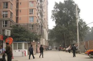 西府少城1室1厅东南