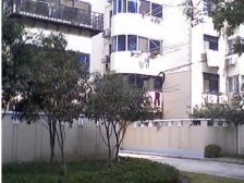 三林·凌兆新村-上浦路355弄·1室·1厅