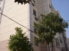 北蔡·文汇小区(南区)·2室·1厅