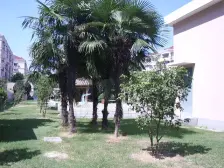 中环内,小区中间位置,一梯两户,双南全明