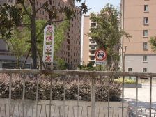 13号线北蔡站地T口、全明户型看房随时,出行方便