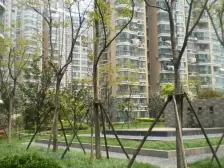 虹口区江湾新电小区3室2厅