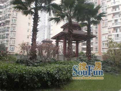 冠城花园一期实景图
