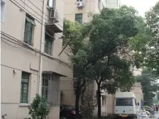 美丽家园已做,南北全明户型、前后无遮挡、采光好