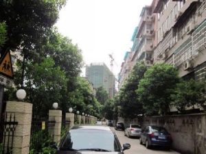 朝南。阳光好。视野开阔。大阳台