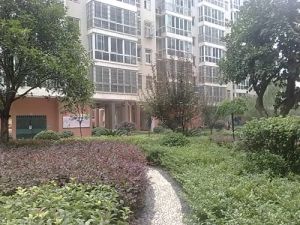 南郊公园旁火车头文化公园电梯大3房