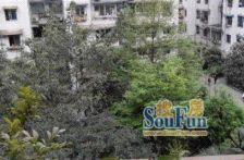 浣花北路6号3室2厅南