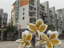 逸水青城兰卡威 3室2厅 南 北