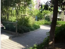 南山路36弄 2室1厅 南