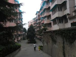 富绿新村2室1厅南