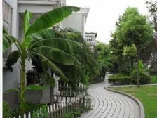 独栋别墅 三开间朝南 房型很正 看房方便