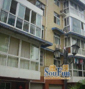 煌歌艺树实景图