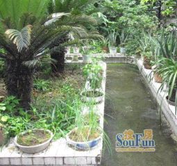 草市街39号2室1厅西