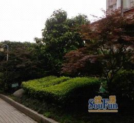 金秋家园13室1厅东南