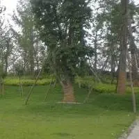 富比帝小区实景图