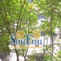 富比帝小区实景图