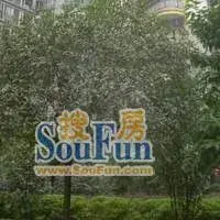 富比帝小区实景图