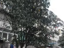 武夷路177号 2室1厅 南 北